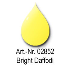 Bright Daffodi