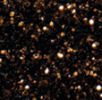 New Collection Glitter - Coffee