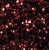 New Collection Glitter - Deep Red