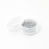 Feinglitter Mirror Silver 3g